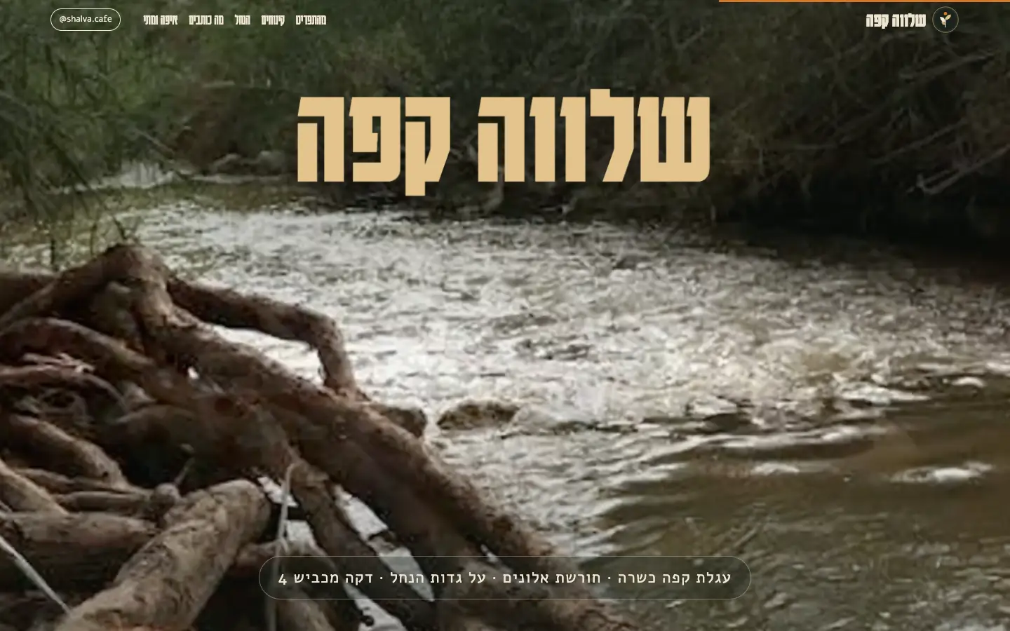 שלווה קפה: המילים נוחתות עם הקינוחים ונסגרות לשם